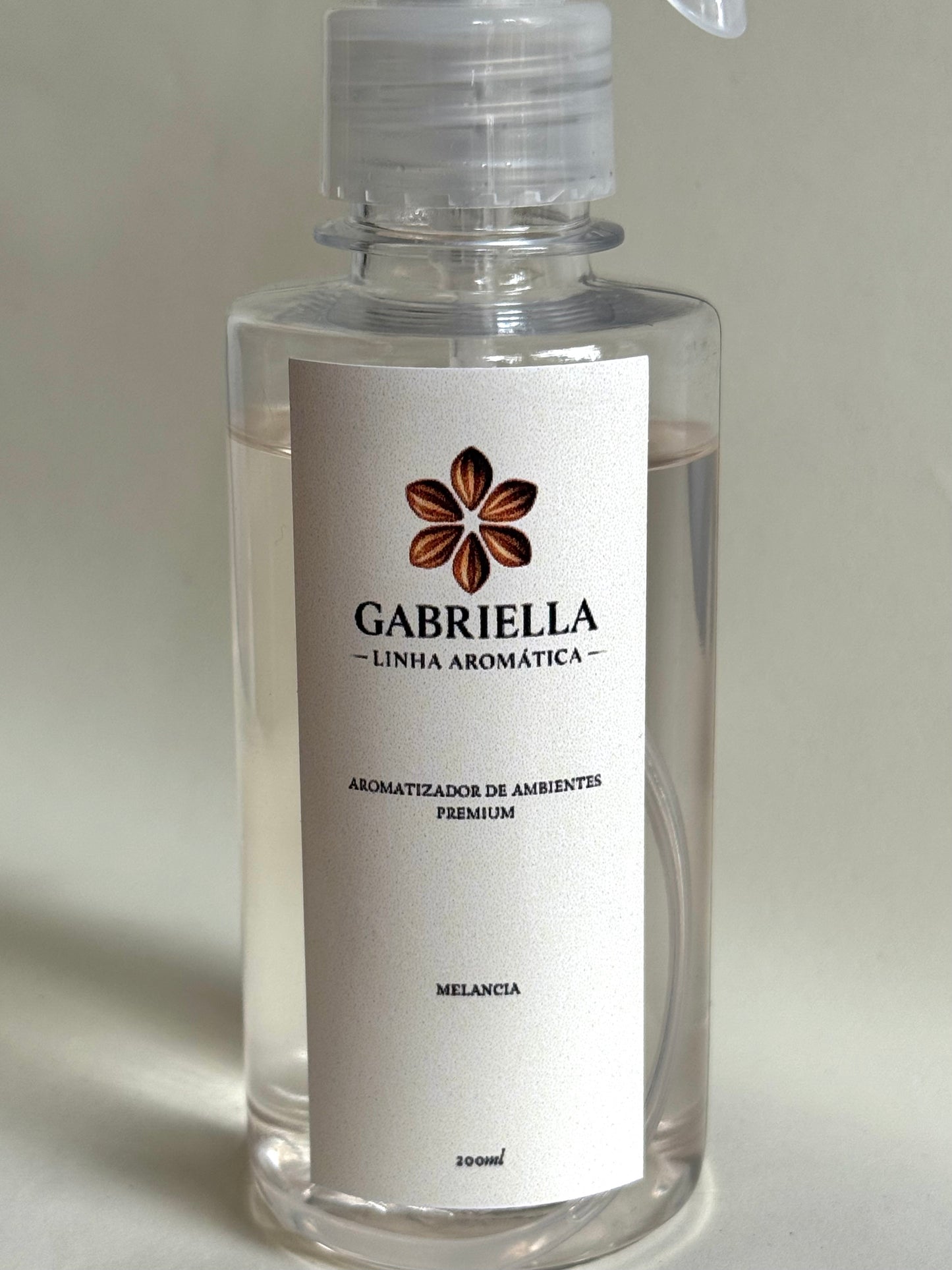 Home spray Premium - Melancia